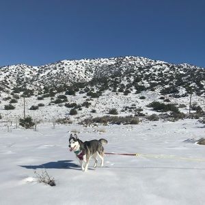 Meet your Posher, Victor